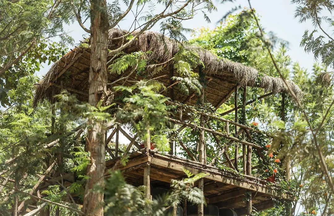 Mtoni River Lodge-1